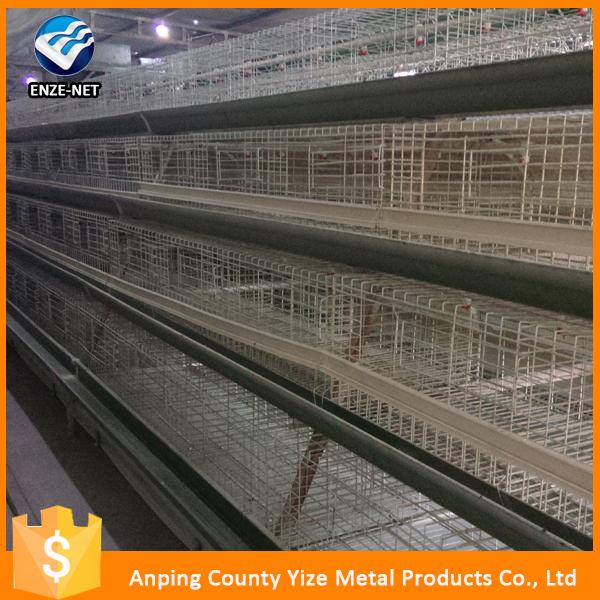 Alibaba Chicken Poultry Equipment Laying Hen