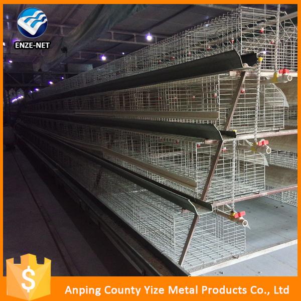 egg chicken house design for baby chicken layers