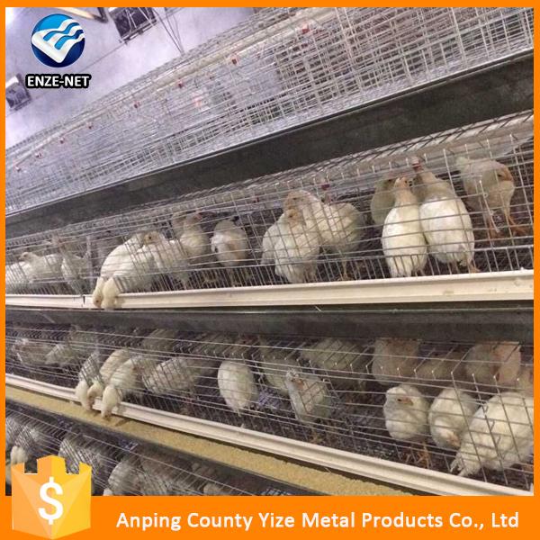 Breeding Chicken Farm Cage Design For