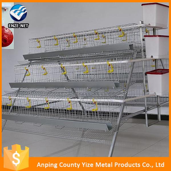 h-type control chicken layer cage price