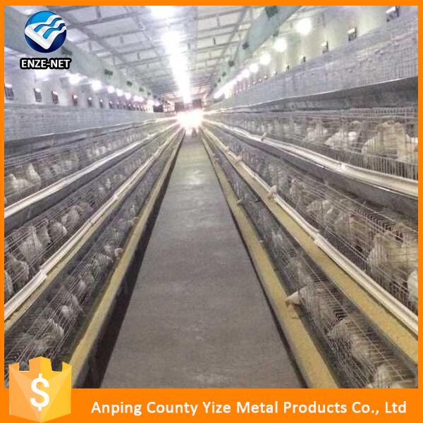 chicken farming materials house design cages for broiler chicken