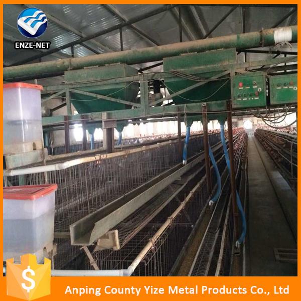 H Type Chicken Cage Broiler Raising