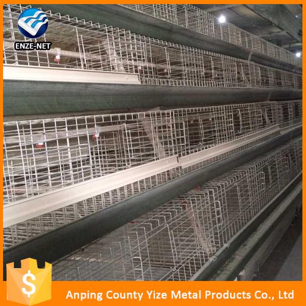 Automatic Poultry Layer Cages Systems Chicken