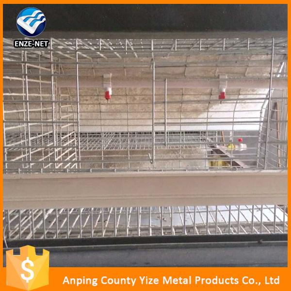 Layer Chicken Cage For Chicken Farm