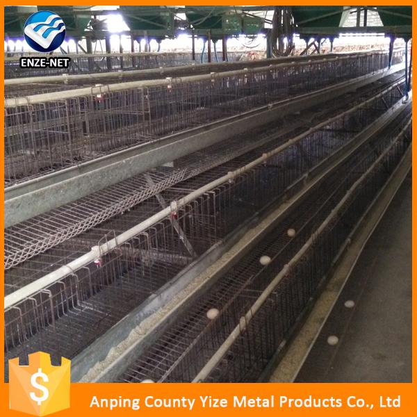 Broiler Battery Cage For Layer Chicken