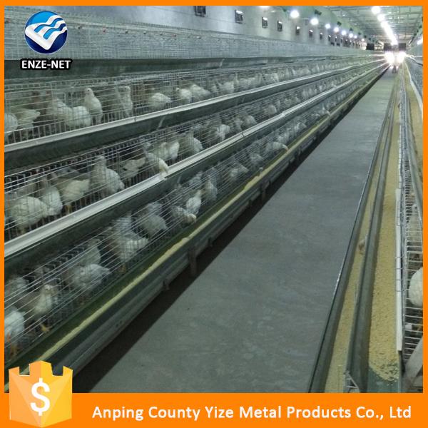 Saudi Arabia Poultry Farm Equipment Commercial