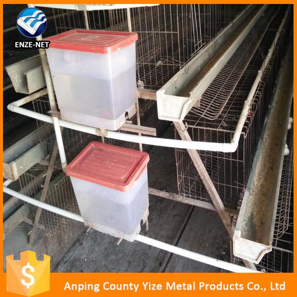 Types Of Layer Chicken Cages For