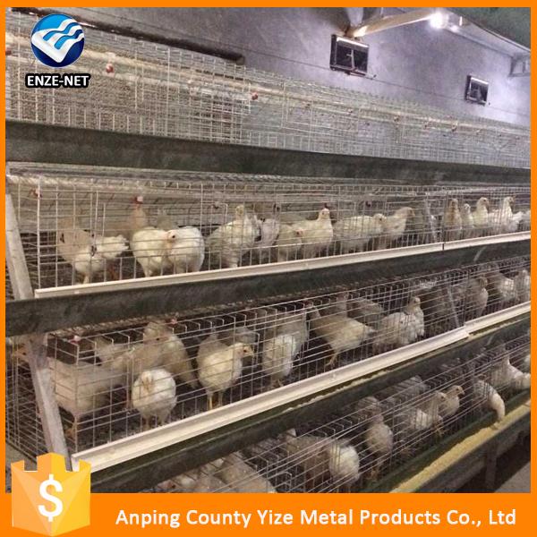 Automatic Breeding Poultry Farm Cage Design