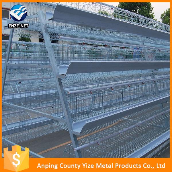 Layer Chicken Shed Used Chicken Cages