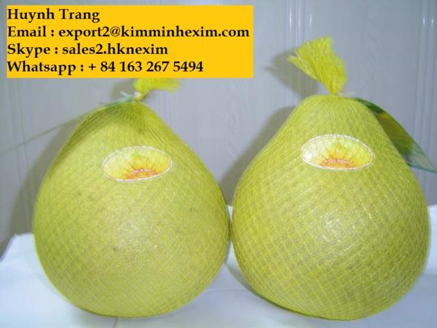 Fresh Pomelo 