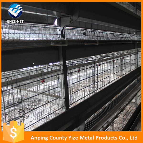 A Type Broilers Chicken Cages Design