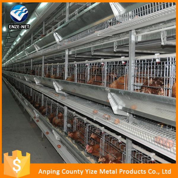 saudi arabia poultry farm equipment commercial 24 hole chicken nest box brooder for sale
