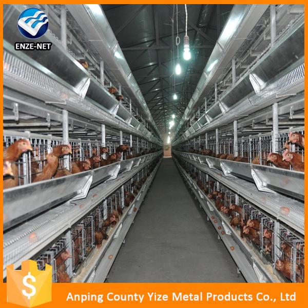 Wholesale Bird Cage Chicken Wire Mesh