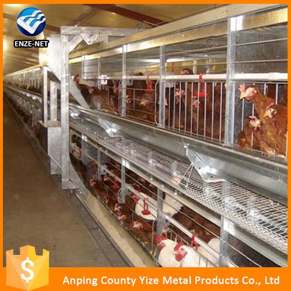 Chicken Cage Plans For Sale