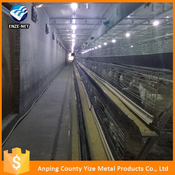 Poultry Farm Equipment Plastic Poultry Transport