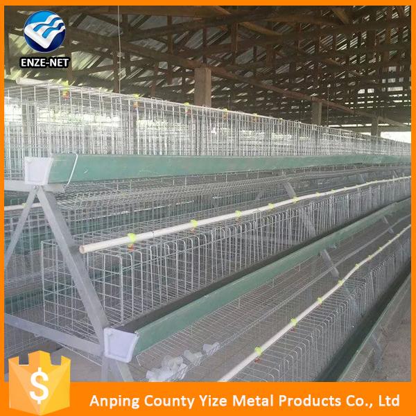 Poultry Farm Chicken Egg Layer Cages