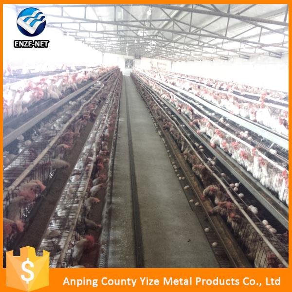 Layer Poultry Cages For Layer Chickens