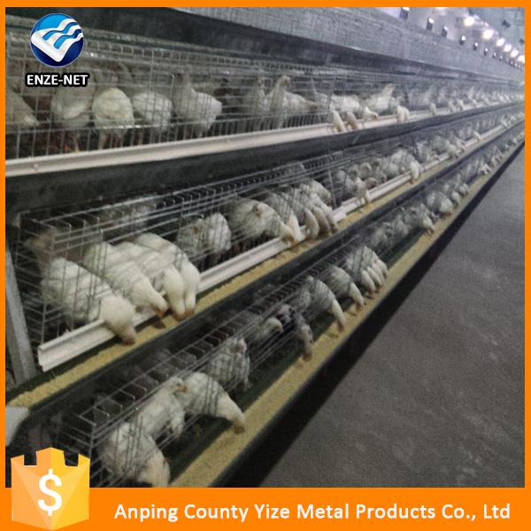 Battery Cages Laying Hens Poultry Battery