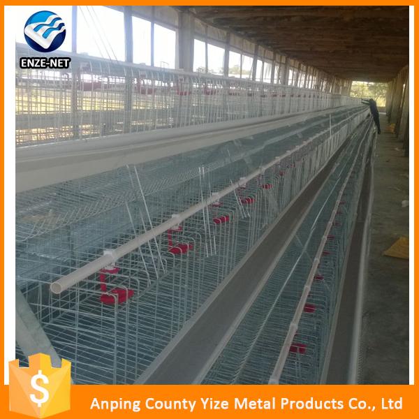 Saudi Arabia Poultry Farm Equipment Commercial