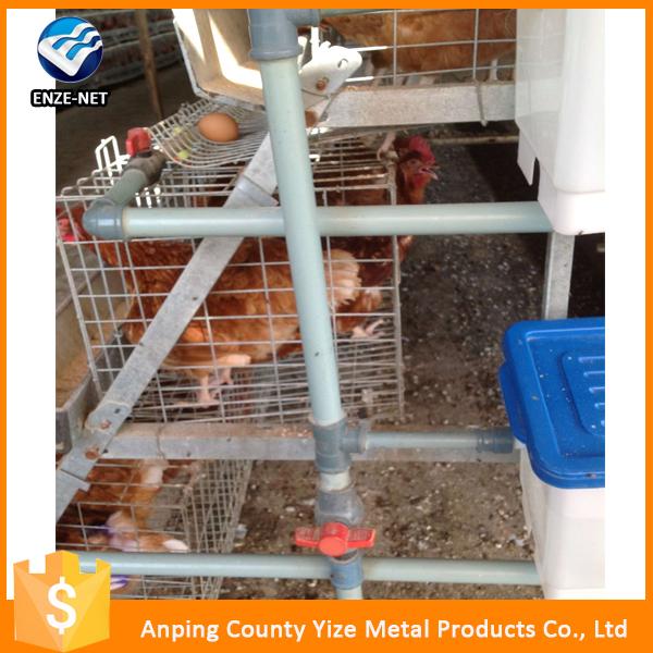 Layer Bird Broiler Chicken Battery Cage