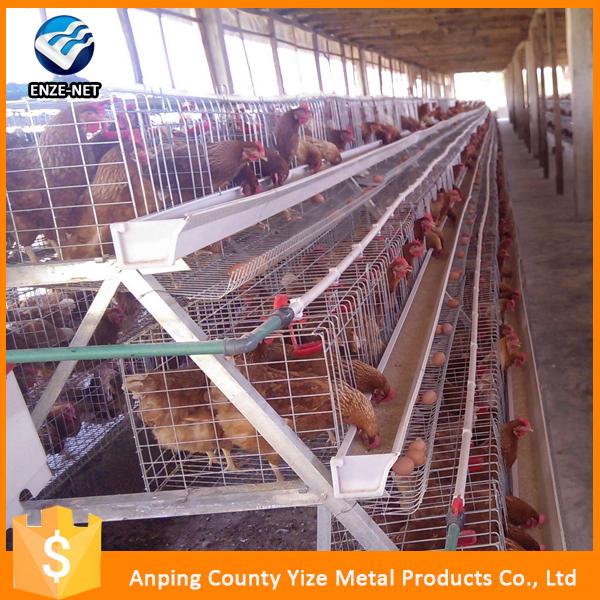 Layer Bird Broiler Chicken Battery Cage