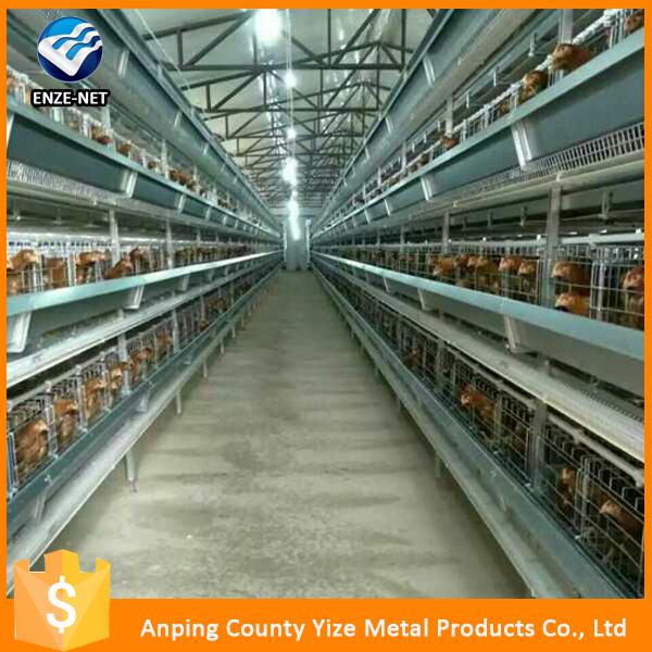 Automatic Chicken Cage Poultry Equipment With