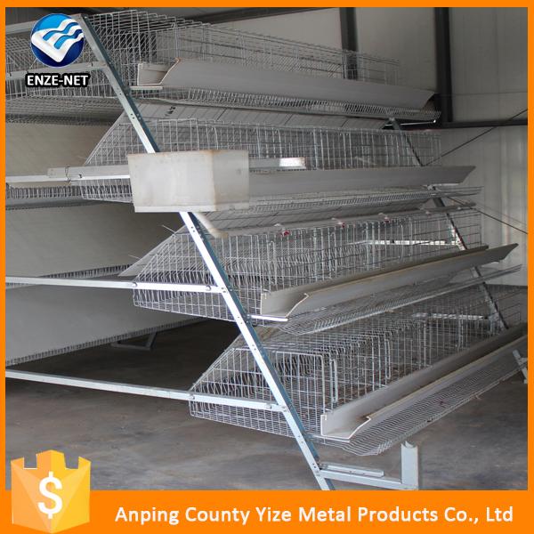 H Type Layer Chicken House Design