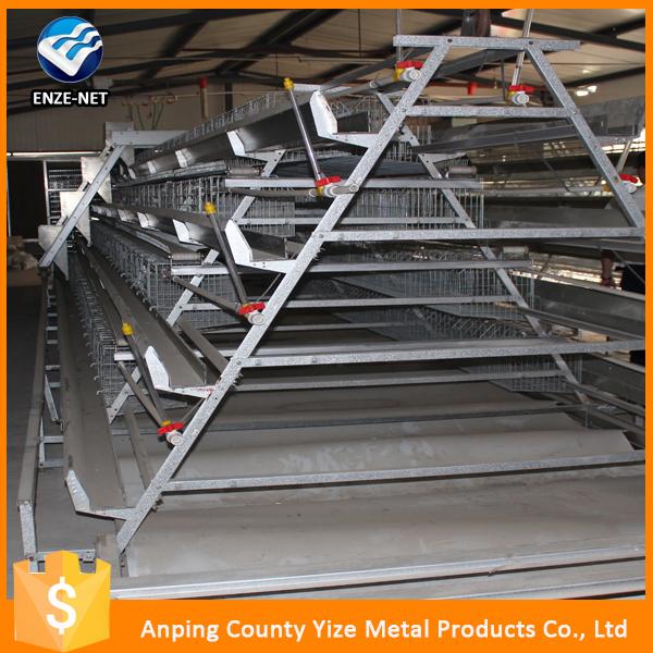 best sell a type chicken layer egg cages for poultry shed farm in south africa