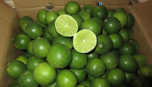 FRESH GREEN LIME