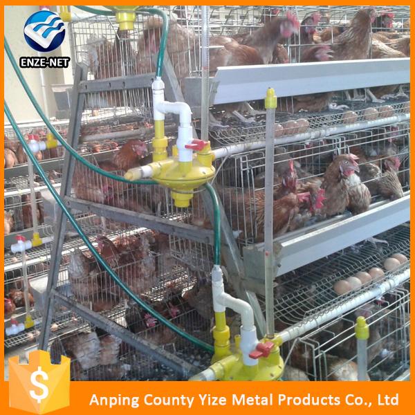 Fully Automatic Battery Chicken Layer Cage