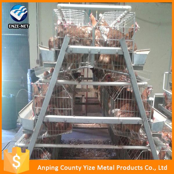 types of layer chicken cages for zimbabwe poultry farm