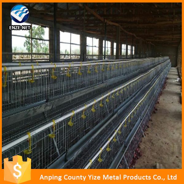 Chicken Feeding System H Type Chicken