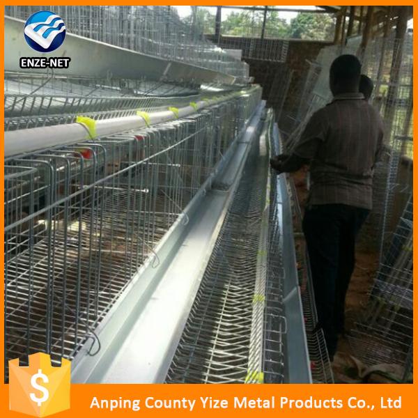 Automatic Poultry Farming System For Chickens