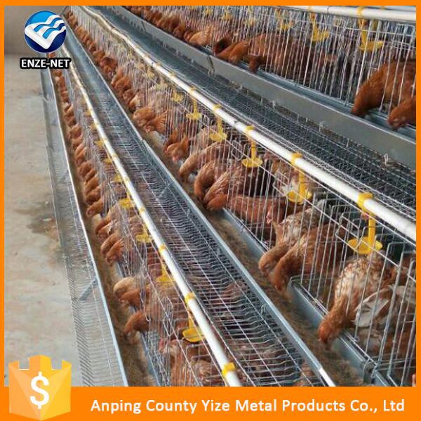 Farm Poultry Layer Chicken Equipment Price