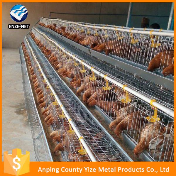 Automatic Equipment Egg Laying Chicken Cages