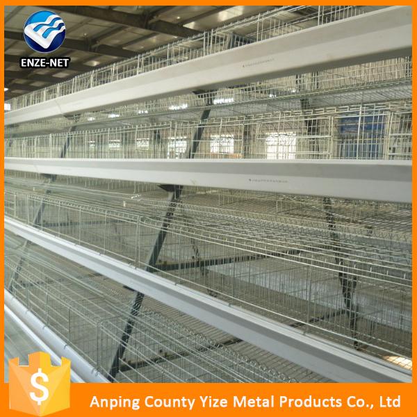 a type broilers chicken cages design for sale china