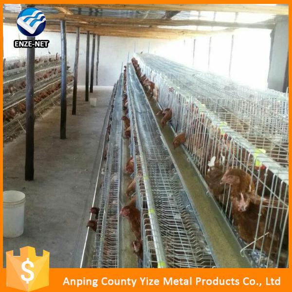 Small Poultry House Chicken Broiler Cages