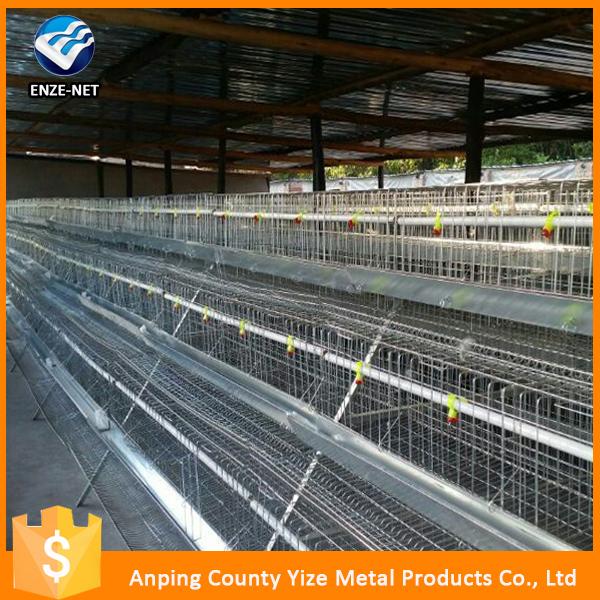 uganda poultry farm chicken cages for broilers