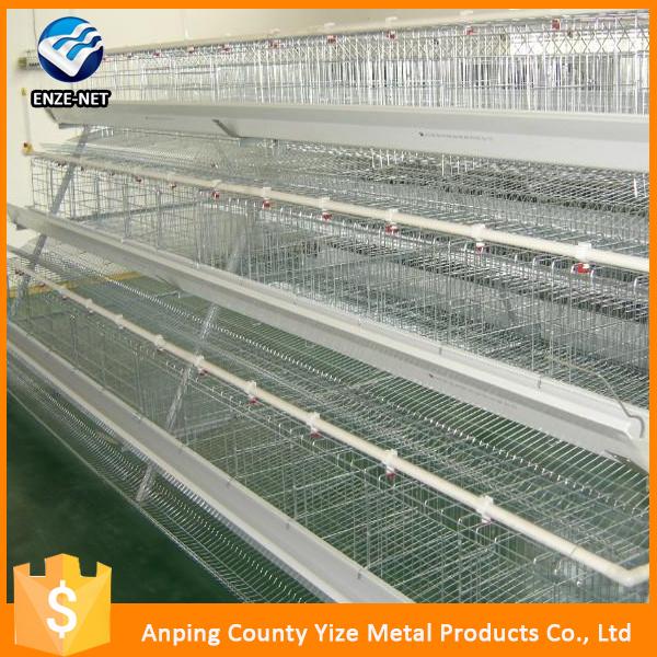 Chicken Eggs Layer Cage For Chiken