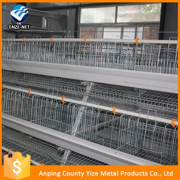 Type H Commercial Poultry Layer Cages