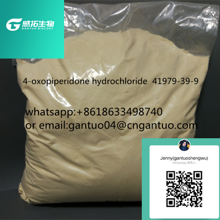 high quality99%4-oxopiperidone hydrochloride 41979-39-9