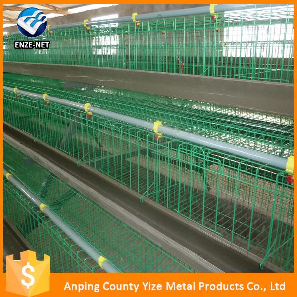 chicken laying equipment/chicken cage sellers in tanzania
