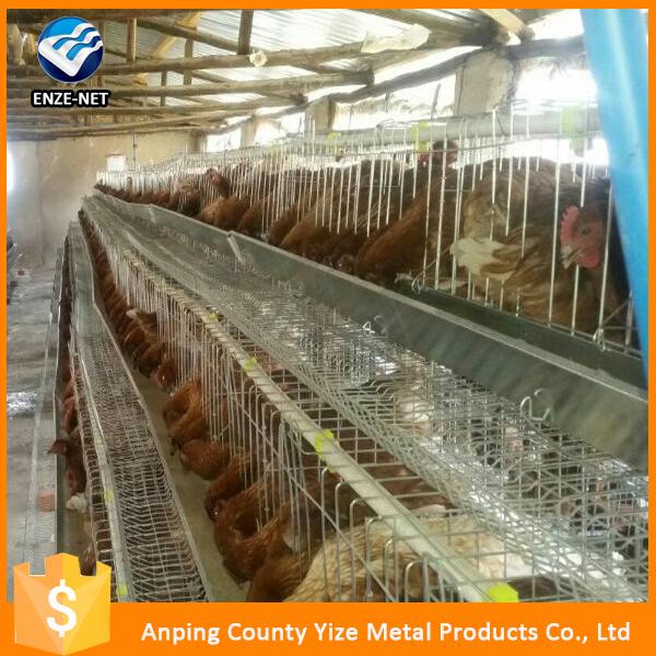 Small Poultry House Chicken Broiler Cages