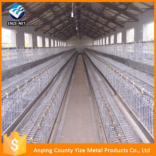 small chicken laying cage for egg chicken used in chickens house