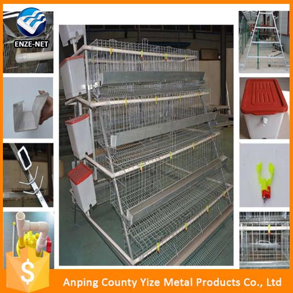 Chicken Eggs Poultry Cage Sell Good
