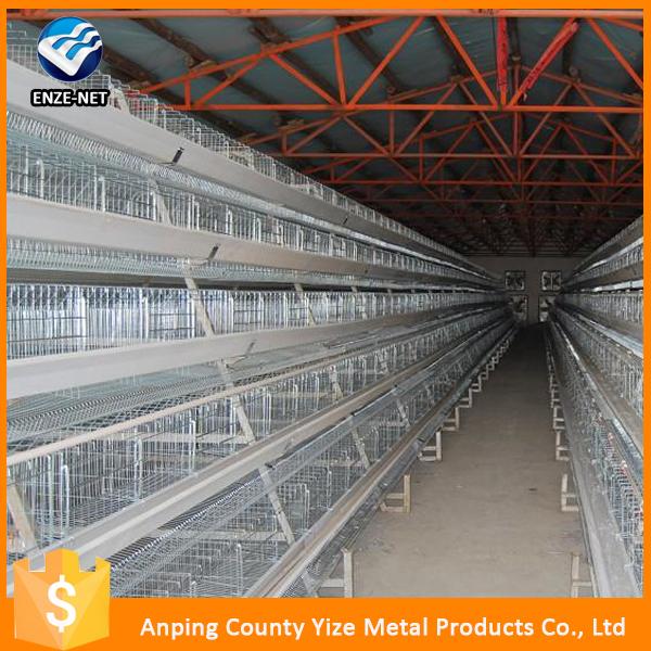 low price live chickens farm chick cage 