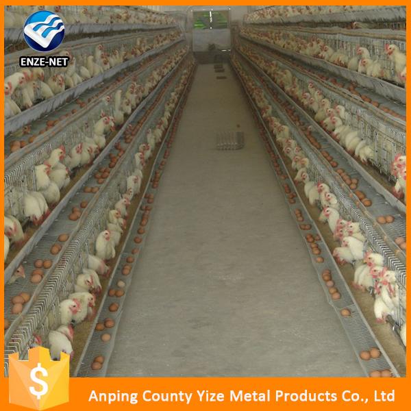 poultry layer farming equipment specifications in india