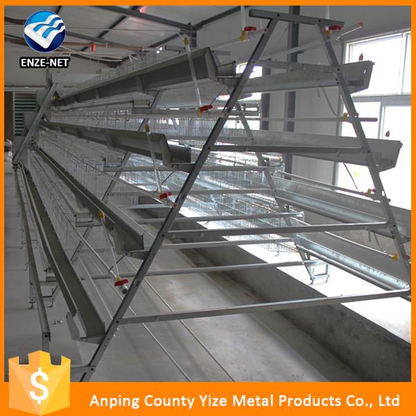 high quality cheap poultry cage layer medium chicken house design for broiler kenya