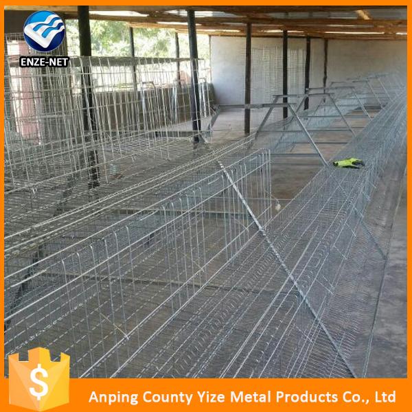 Steel Mesh Prefabricated Egg Layer Chicken