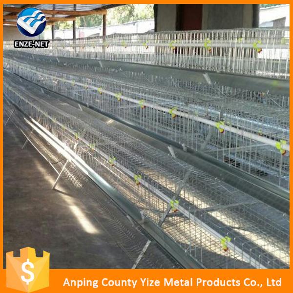 chicken egg laying cages for farm in south africa